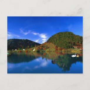 Carte Postale Montagnes du lac Swan