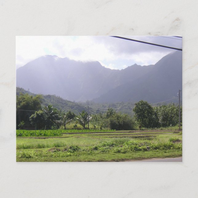 Carte Postale Montagnes Misty en Kauai, Hawaii (Devant)