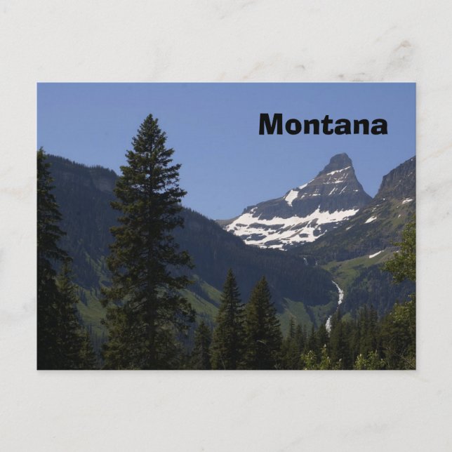 Carte Postale Montana (Devant)