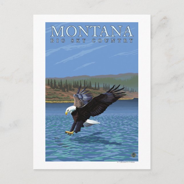 Carte Postale Montana — Big Sky PaysAigle de plongée (Devant)