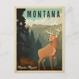Carte Postale Montana Deer   Majestic, Magique