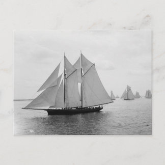 Carte Postale Montauk Sailboats (juin.19.1897)