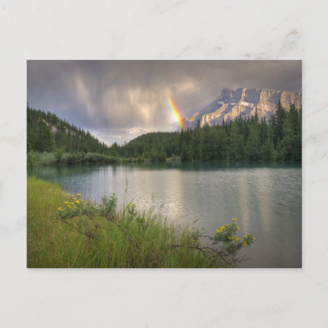 Carte Postale Monter Rundle Rainbow, Étangs Cascade (Devant)