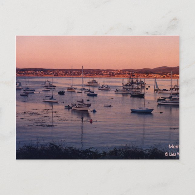 Carte Postale Monterey Bay California 1985 (Devant)