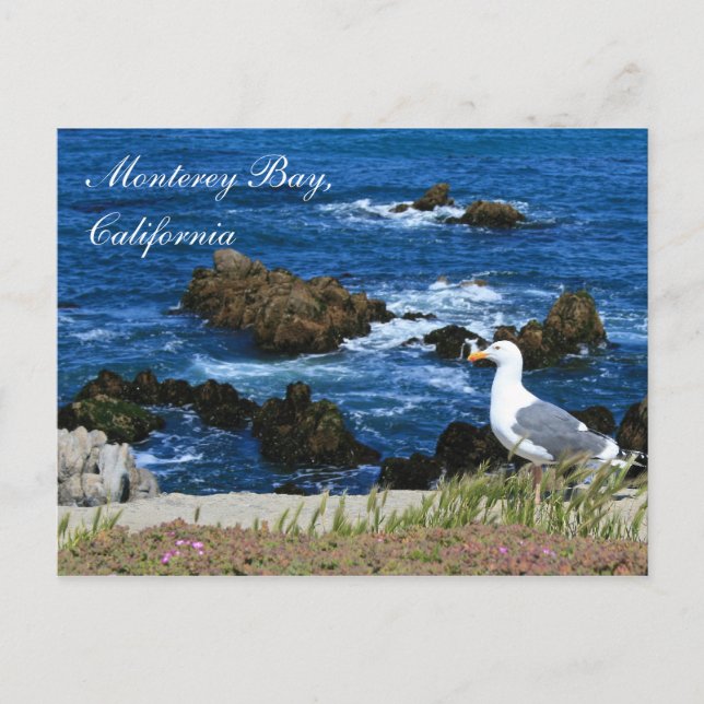 Carte postale Monterey Bay, Californie (Devant)