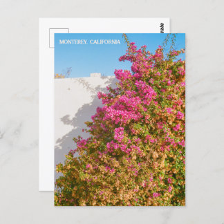 Carte Postale Monterey Bay, Californie | Photographie de film | 