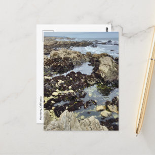 Carte postale - Monterey, Californie