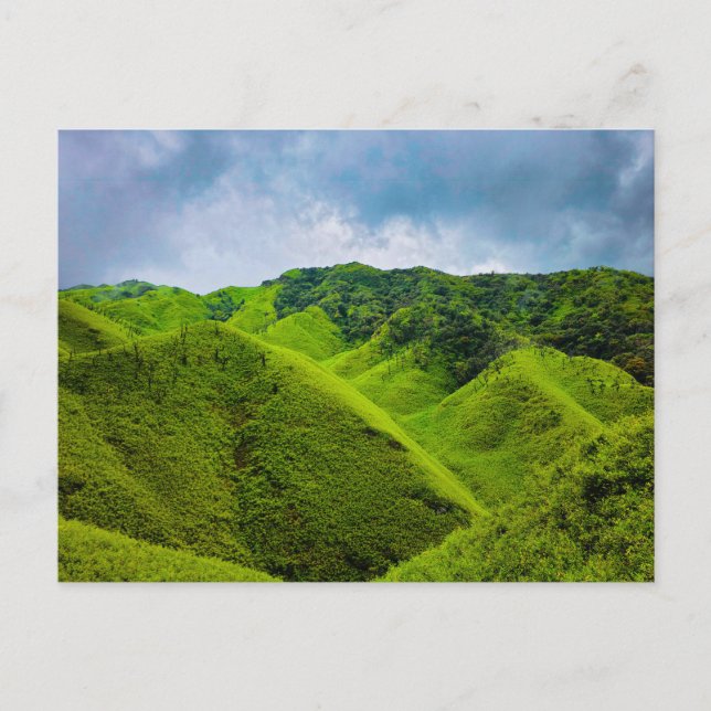Carte Postale Monterosso Cinque colline verte (Devant)