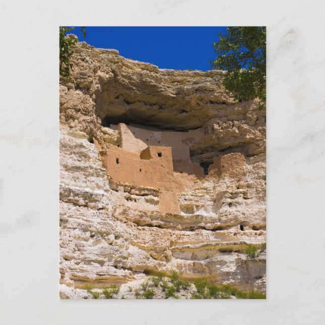 Carte Postale Montezuma's Castle National Monument (Devant)