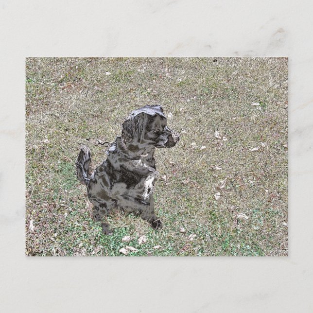 Carte Postale Montres à chiens Black Lab (Devant)