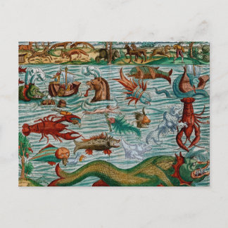 Carte Postale Montres de mer vintages