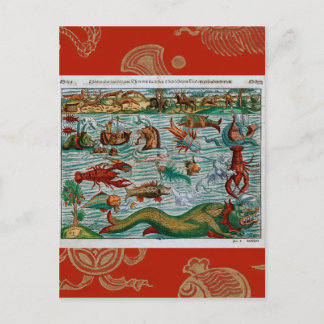 Carte Postale Montres de mer vintages