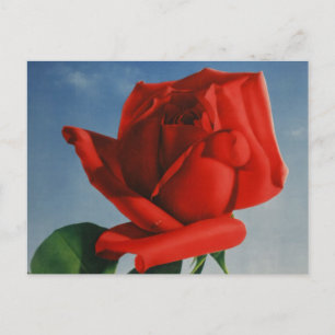 Carte Postale Montreux vintage Rose rouge Suisse Lac Léman