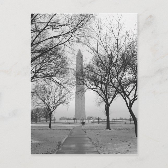 Carte Postale Monument de Washington (Devant)