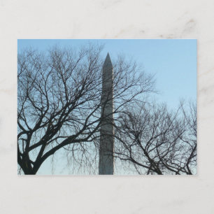 Carte Postale Monument de Washington dans le paysage d'hiver I
