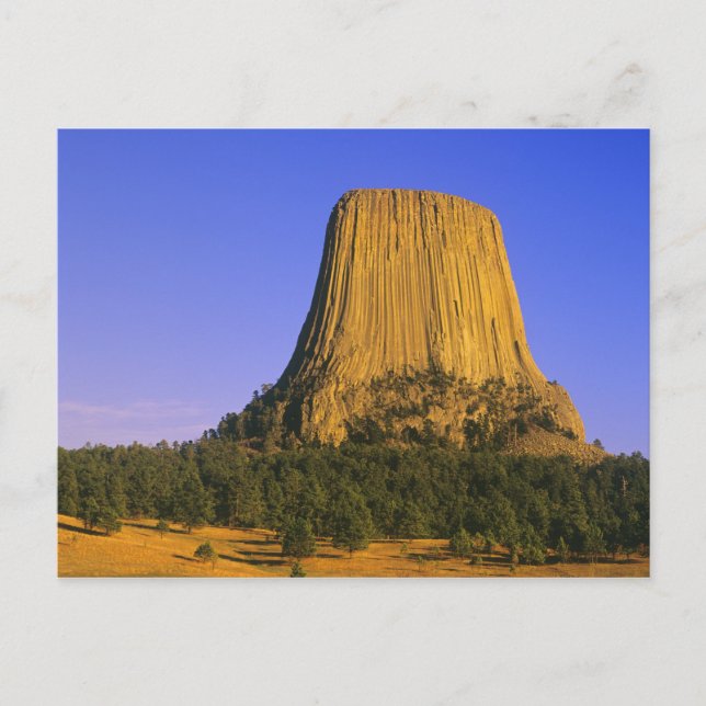Carte Postale Monument national de Devils Tower dans le Wyoming (Devant)