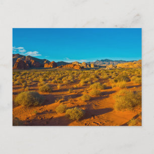 Carte Postale Monument national de Gold Butte, Mud Road Vista