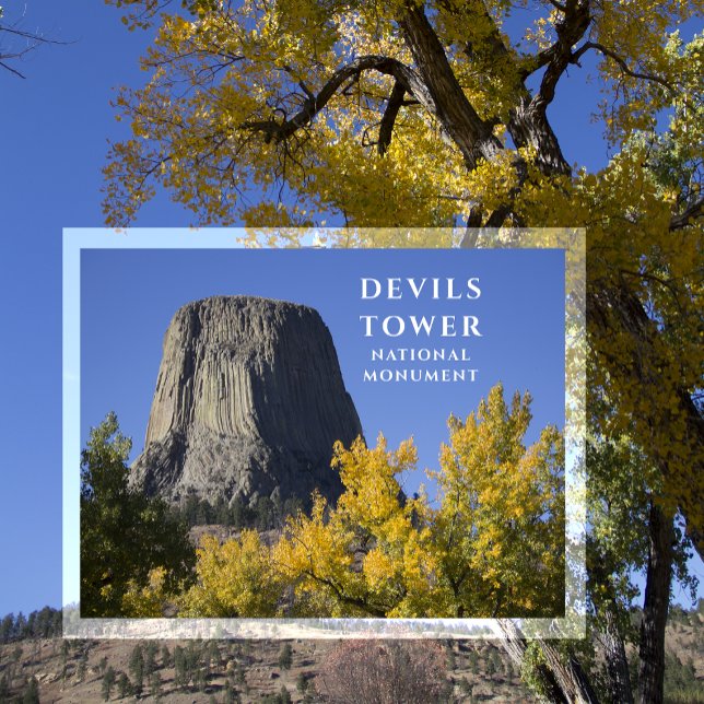 Carte Postale Monument national de la tour Devils Arbres Chute F (Créateur téléchargé)