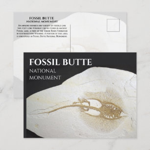 Carte Postale Monument national de Sting Ray Fossil, Fossil Butt