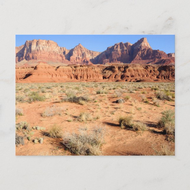 Carte Postale Monument national de Vermilion Cliffs (Devant)