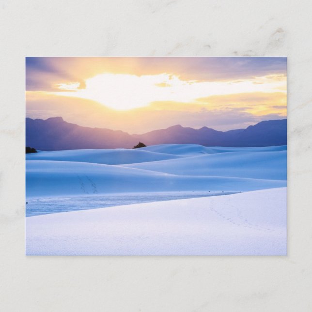 Carte Postale Monument national de White Sands 3 (Devant)