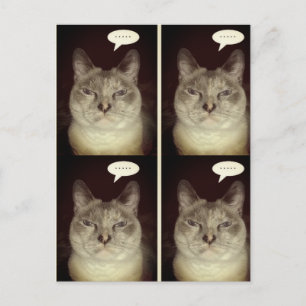 Carte Postale Moody Cat