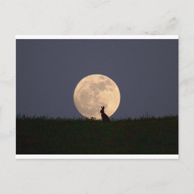 Carte Postale Moongazer (Devant)