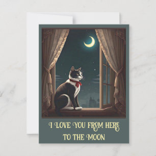 CARTE POSTALE " MOONLIT WHISKERS "