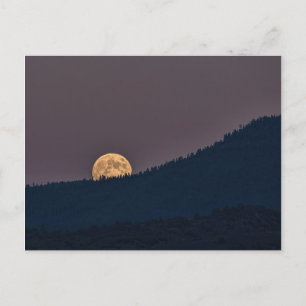 CARTE POSTALE MOONRISE