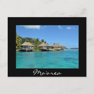 Carte Postale Moorea bungalows de vacances au-dessus de l'eau
