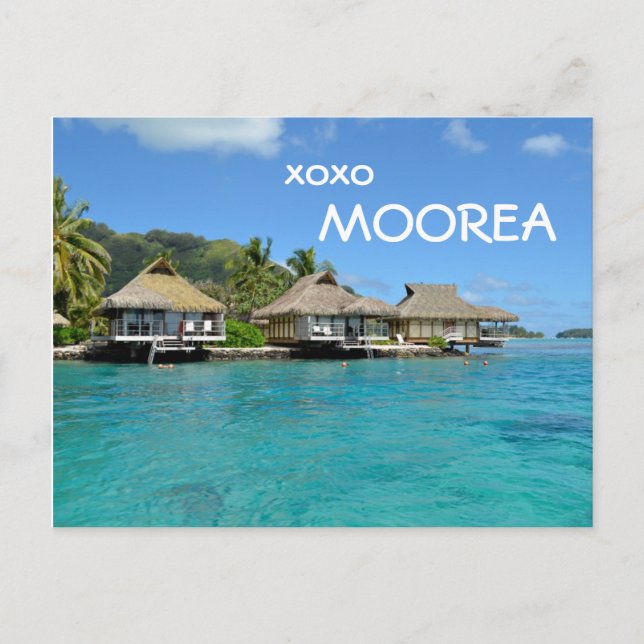 Carte Postale Moorea bungalows with text: 'xoxo Moorea' postcard (Devant)