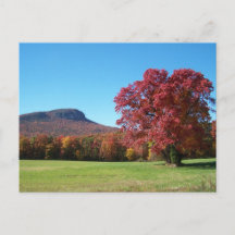 Moore's Knob à Hanging Rock State Park