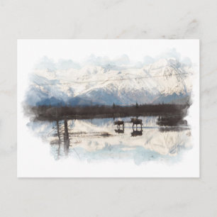 Carte postale Moose