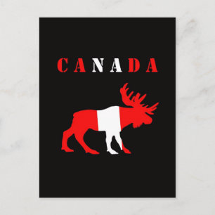 Carte Postale moose canada