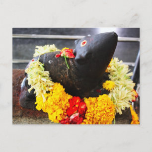 Carte Postale Mooshika