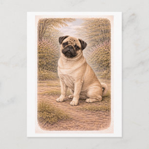 Carte Postale Moppe de style vintage