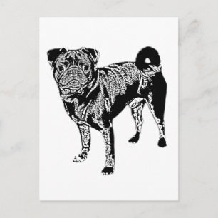 Carte Postale Mops Jack monochrom