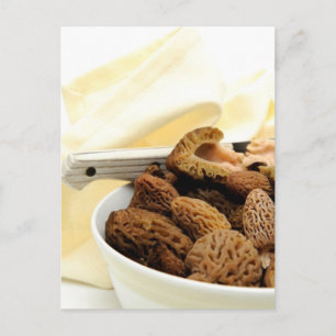 Carte Postale Morel Mushroom