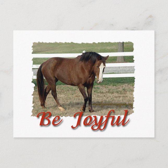 Carte Postale Morgan Horse secouru :  Soyez Joyeux (Devant)