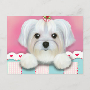 CARTE POSTALE MORKIE SHELLY