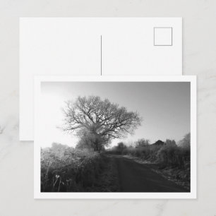 Carte Postale Morne gelée : Cheshire