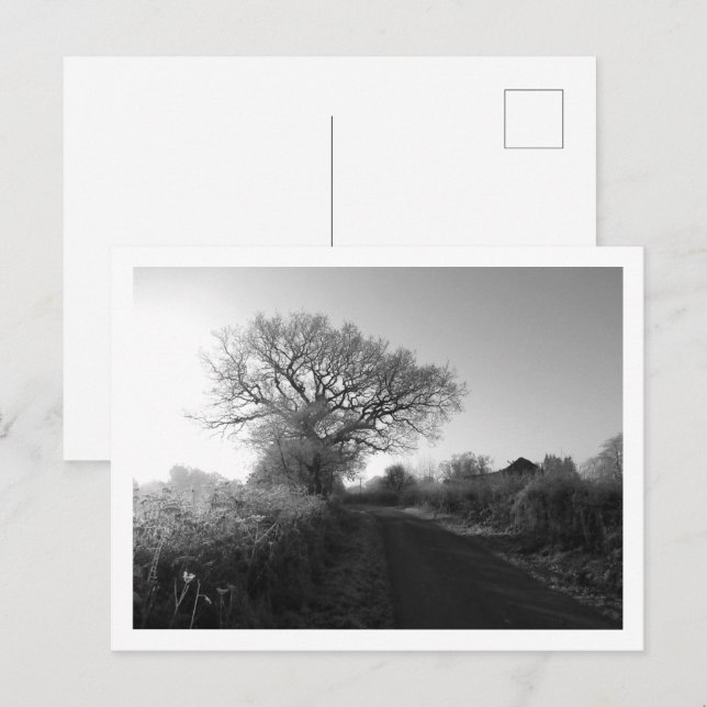 Carte Postale Morne gelée : Cheshire (Devant / Derrière)