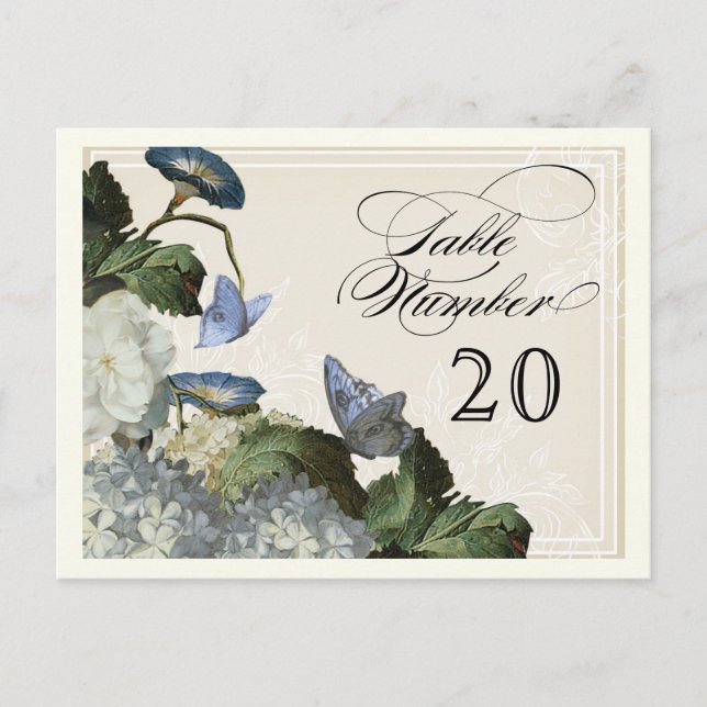 Carte Postale Morning Glory Hydrangea - Nombre de sièges de tabl (Devant)