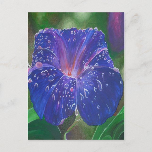 Carte Postale Morning Glory (Ipomoea Purpurea) Petals et Dew Dr. (Devant)