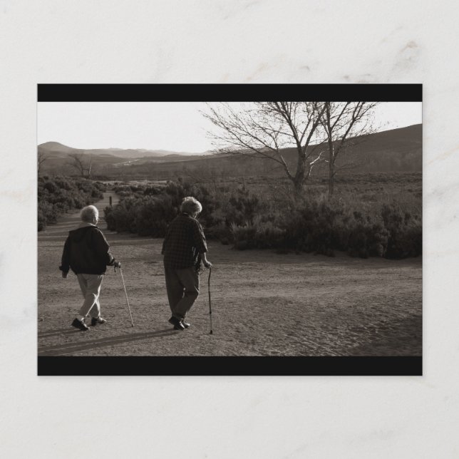 Carte Postale "Morning Walk, Carson City" (Devant)