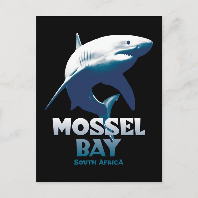 Carte Postale Mossel Bay Grand requin blanc Plongée sous-marine (Devant)