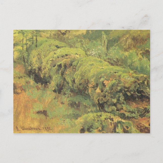 Carte Postale Mossy Wood par Ivan Shishkin (Devant)