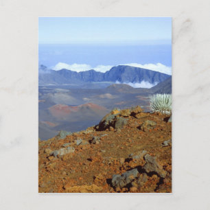 Carte Postale Mot d'argent sur la ceinture de cratère Haleakala