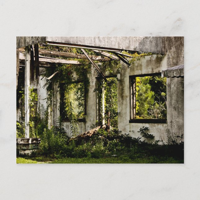 Carte Postale Motel abandonné vieux Floride (Devant)
