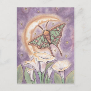 Carte Postale Moth & Moonflowers